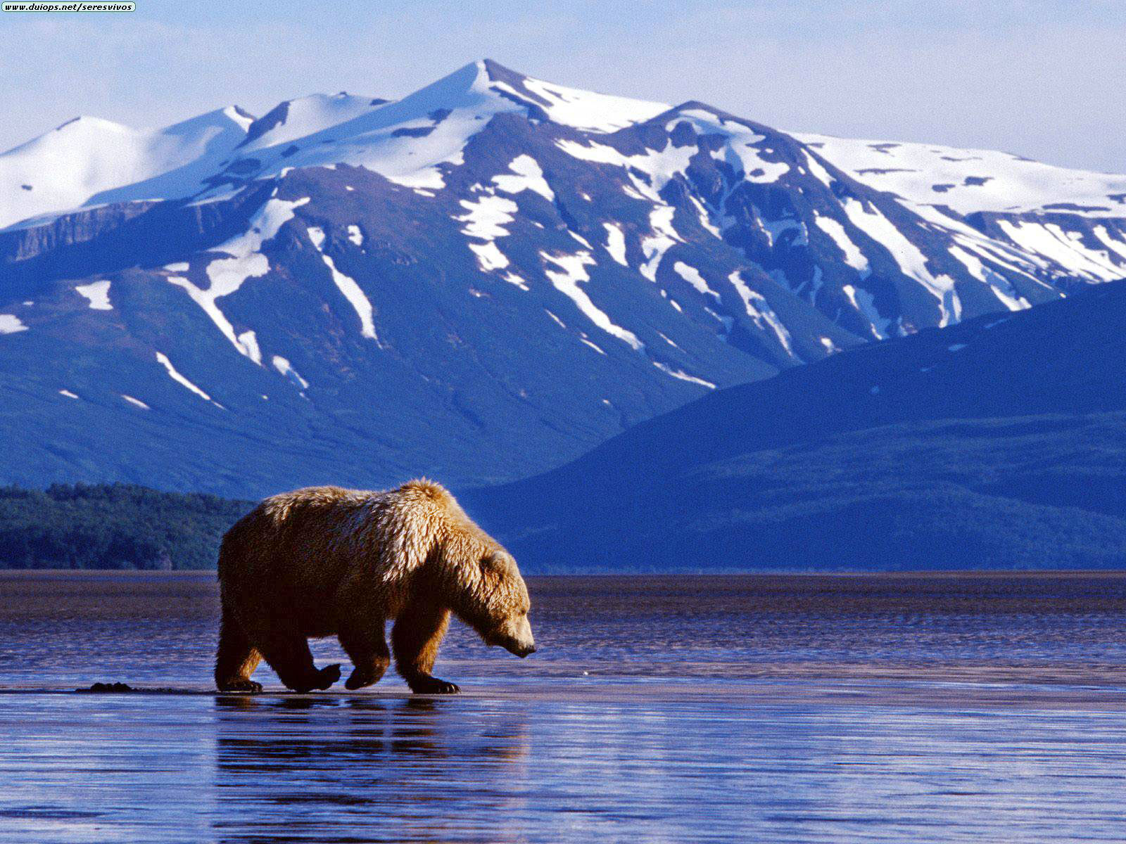 Things To Do in Kodiak | Things To Do In Kodiak | Kodiak Legends Lodge