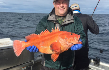 Alaska rockfish