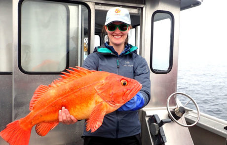 Alaska rockfish