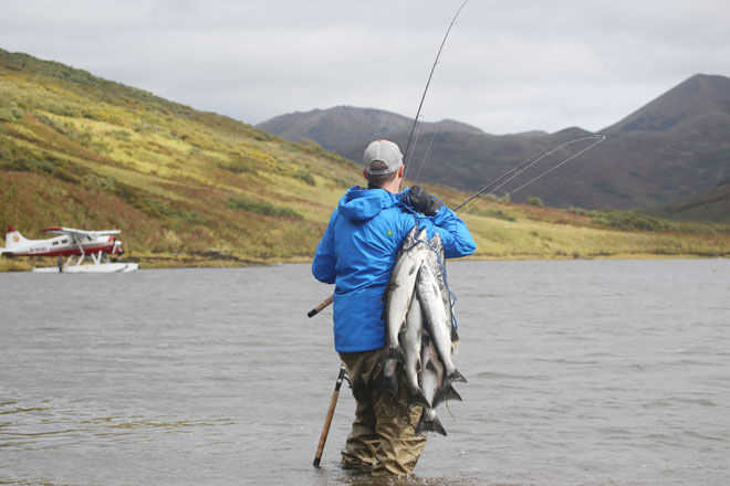 alaska river fishing for salmon