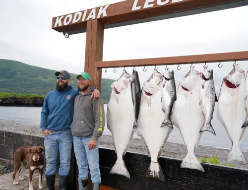 Alaska halibut: 5 tips for your Alaska Halibut Trip