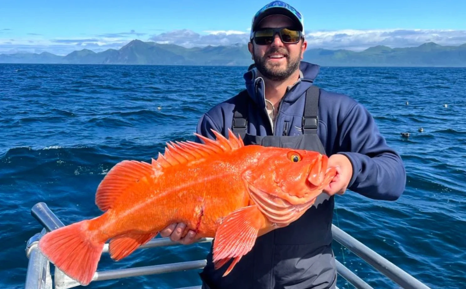 Alaska rockfish